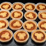 ELENA ALBICOCCA (15 PEZZI)