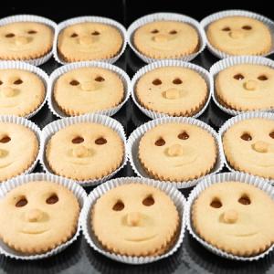 FACCINE ALBICOCCA (15 PEZZI)